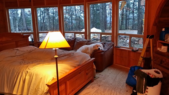 Bear was right at home, glamping.